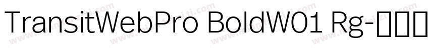 TransitWebPro BoldW01 Rg字体转换